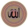 user450266216212