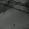 nmg_nesto