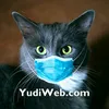 yudiweb