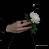 kaize_y
