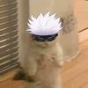 nt_muichiro