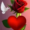 user236316215
