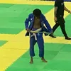 feijaobjj7