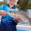 fisho2012