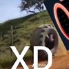 javierclaestevideoespara