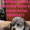 user8690547957214