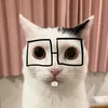 loccat40