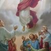 jesusw080