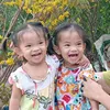 chinh.tran274