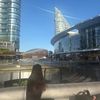mariam_shaaban_