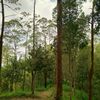 akunlapak22