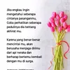 najmi.id