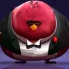 haryymops777
