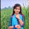 hasemmia283