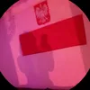 die_polin847