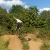 lordleon59
