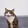 ngga_taw1