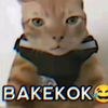 pelerr.alok