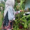 indah_srihadi