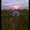 user9799019974