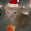 ta1zi31