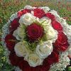user3285015728179