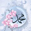 rowi.alhasan