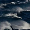 g_93350