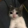 anhbakiet01