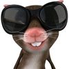 raacutiess_