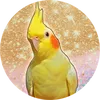 SweetLemon Tv