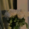 user5112244681941