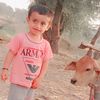 malikamjad8659