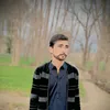 mehran.bacha