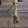 follow_back.3second