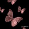 meerah_49
