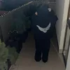 flwpolciq