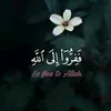anfal5144