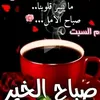 hamimohamed86