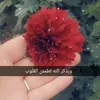 ma4322703