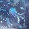 .jellyfish._0
