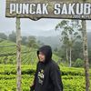 kulo.lutfi