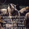 entrenadormurriet