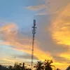m.nguyet_tf