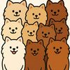 petglow_1