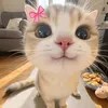 nhyy_ppw