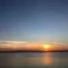 shaimaali7162
