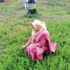 jannat.nila30