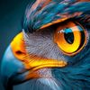 JICHO LA EAGLE 🦅