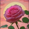 sayemsheikh49